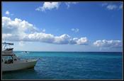 04 Stingray City - Sandbar